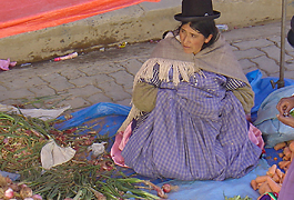 para-niños: Hilfer für Familien in Bolivien